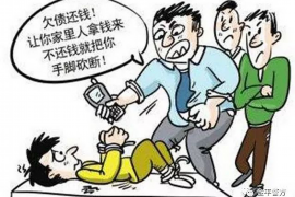 民丰贷款清欠服务